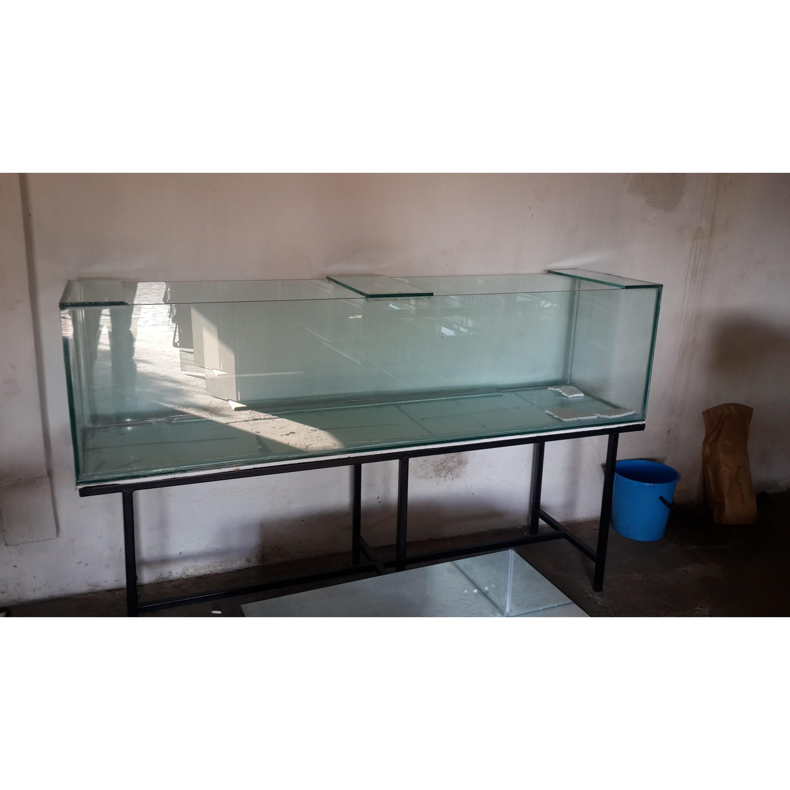 6ft fish tank