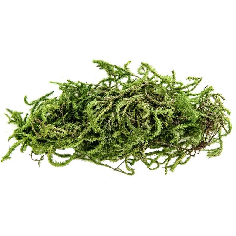 Magic Earch Water Green Moss (Sphangnum Moss) 2L