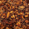 CoCo Husk Chips