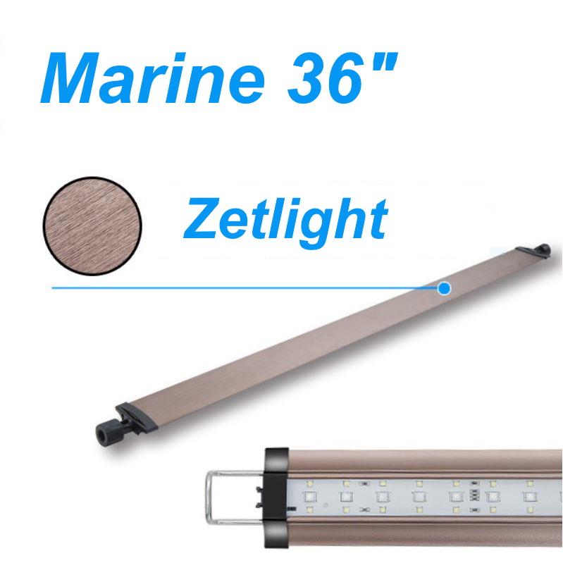 zetlight zp4000