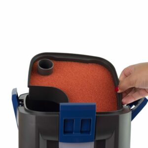 Oase BioMaster Thermo