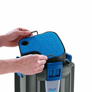 Oase BioMaster Thermo