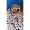 Eco Bedding 5 liter Small