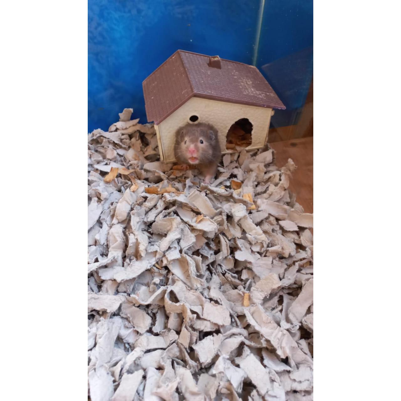 Eco Bedding 5 liter Small