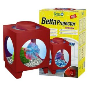 Tetra Betta Siamese Fighter Projector