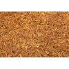 Dried Mealworms 200g