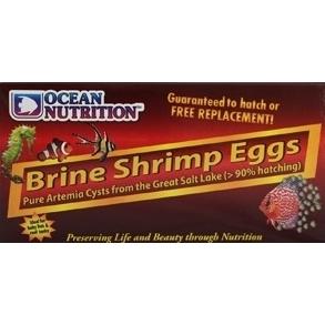 Ocean Nutrition Brine Shrimp Eggs 50g