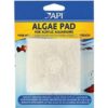 Algae Pad for Acrylic Aquarium 7.5cm x 7.5cm