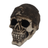 Ornament - Skull Solly