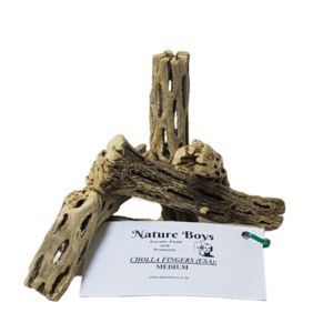 CHOLLA Finger 35 - 50g