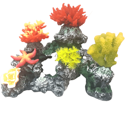 Coral-Anemones w/starfish & flower