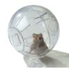 HAMSTER EXERCISE BALL IN BOX