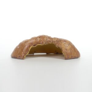Gecko / Snake Hide (16 x 9 x 4cm) - Image 3