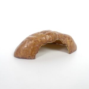 Gecko / Snake Hide (16 x 9 x 4cm)