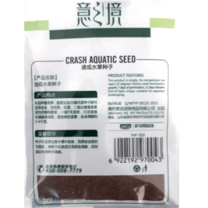 Hemianthus callitrichoides Seeds - Image 3