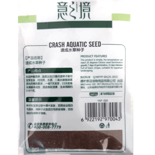Hemianthus callitrichoides Seeds - Image 3