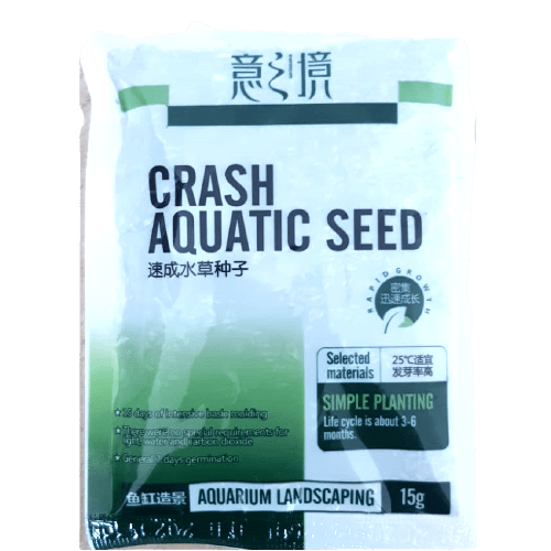 Hemianthus callitrichoides Seeds - Image 2
