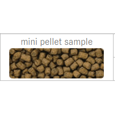 Hikari Lionhead Mini - 100g - Image 2