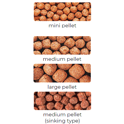 HIKARI GOLDFISH WHEAT-GERM MINI 200g - Image 3