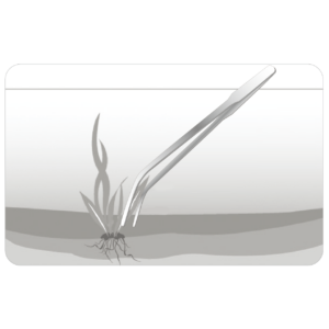 ISTA Tweezer Angled - Image 4
