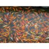 Koi Small 4cm