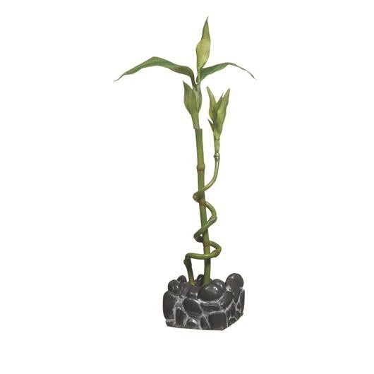 Marina 2L Betta Kit Bamboo Ornament