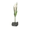 Marina 2L Betta Kit Callalily Ornament
