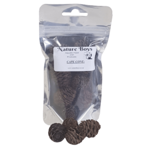 Cape Cones 25pc