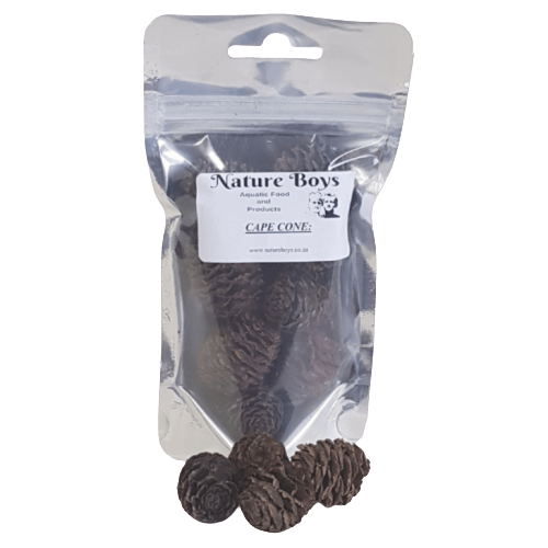 Cape Cones 25pc