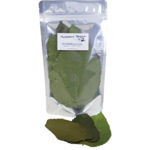 Mulberry Leaves (10pc)