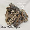Cholla Finger 20-35g