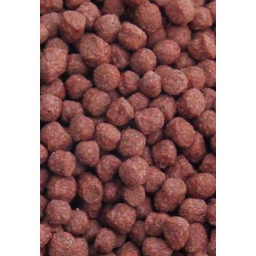 Ocean Nutrition Premium Goldfish Pellet 250g - Image 3