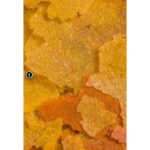 Ocean Nutrition Goldfish Formula Flake 71g - Image 3