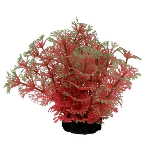 Plastic Plant 4" (PVC Box)