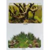 Plastic background 16" 9098/9030 (40cmx15m)