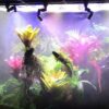 Vivarium Rain Forest Rainmaker