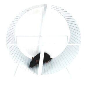 SOLID RAT WHEEL ON STAND 280MM - Image 2