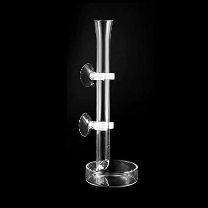 Shrimp Glass Feeding Tube 30cm - Image 2