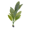 Silk Plants 12"