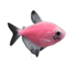 Tetra Widow GM Pink