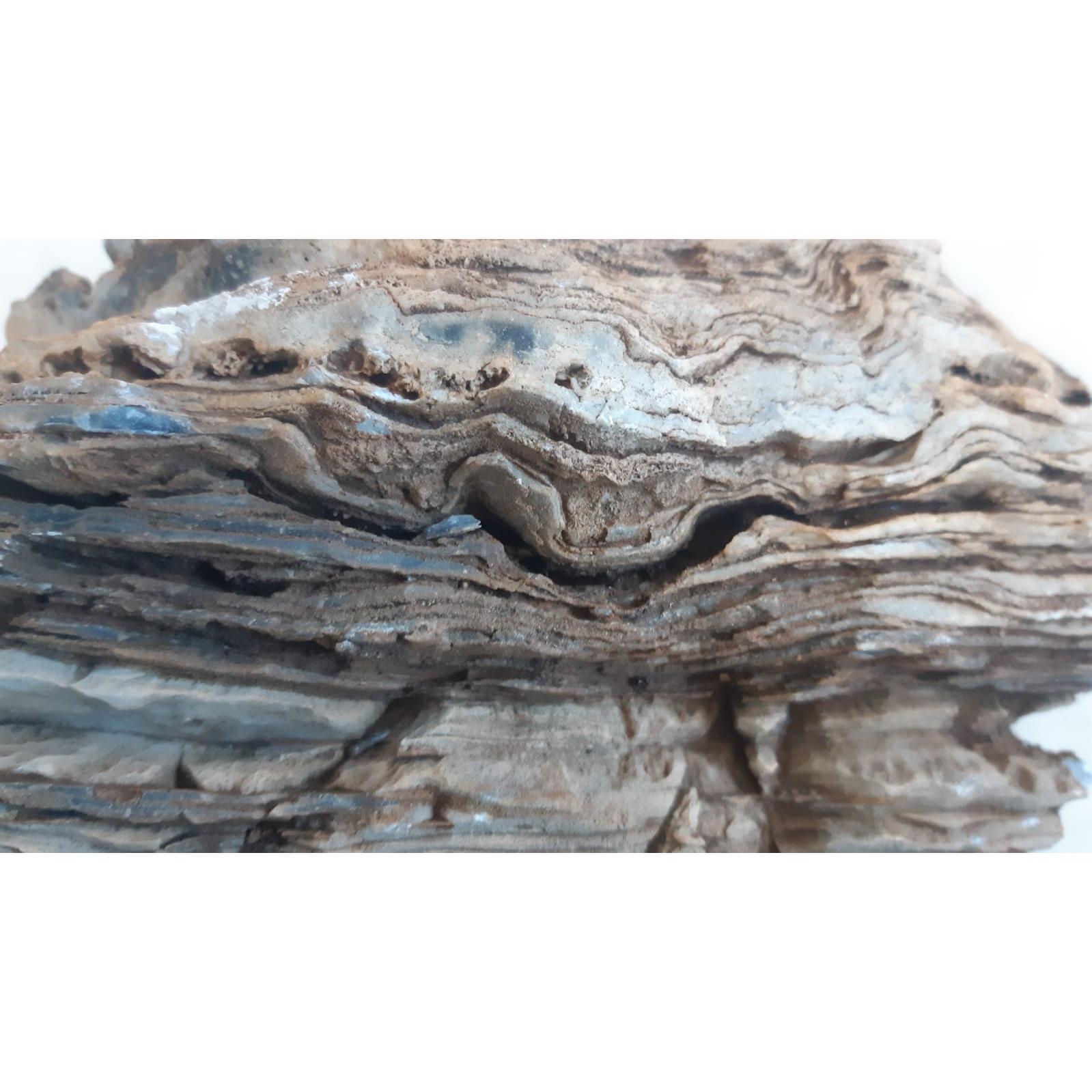 Elephant Skin /KG
