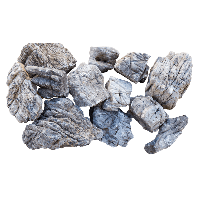 Elephant Skin /KG - Image 3
