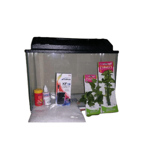 GOLD FISH STARTER KIT (BASIC) 30L