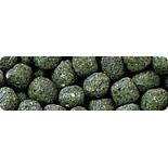 HIKARI CICHLID STAPLE MEDIUM - 250gr - Image 2