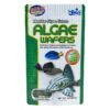 HIKARI TROPICAL ALGAE WAFERS - 20gr