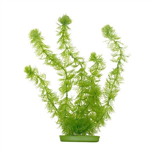 Marina AquaScaper Hornwort, extra large, 37.5 cm