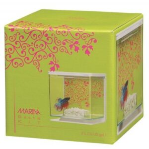 Marina Betta Kit Girl Theme - 2L