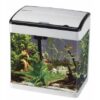 Betta Lifespace White at Rebel Pets