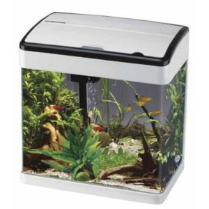Betta Lifespace White at Rebel Pets