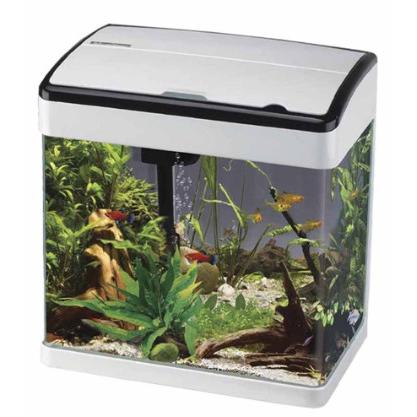 Betta Lifespace White at Rebel Pets